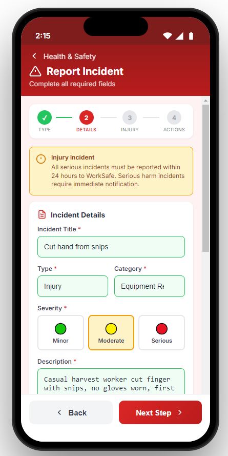 Health and safety incident report